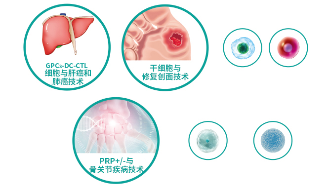 細(xì)胞技術(shù)研發(fā)